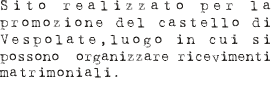 Sito realizzato per la promozione del castello di Vespolate,luogo in cui si possono  organizzare ricevimenti matrimoniali.